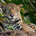 peru travel agency