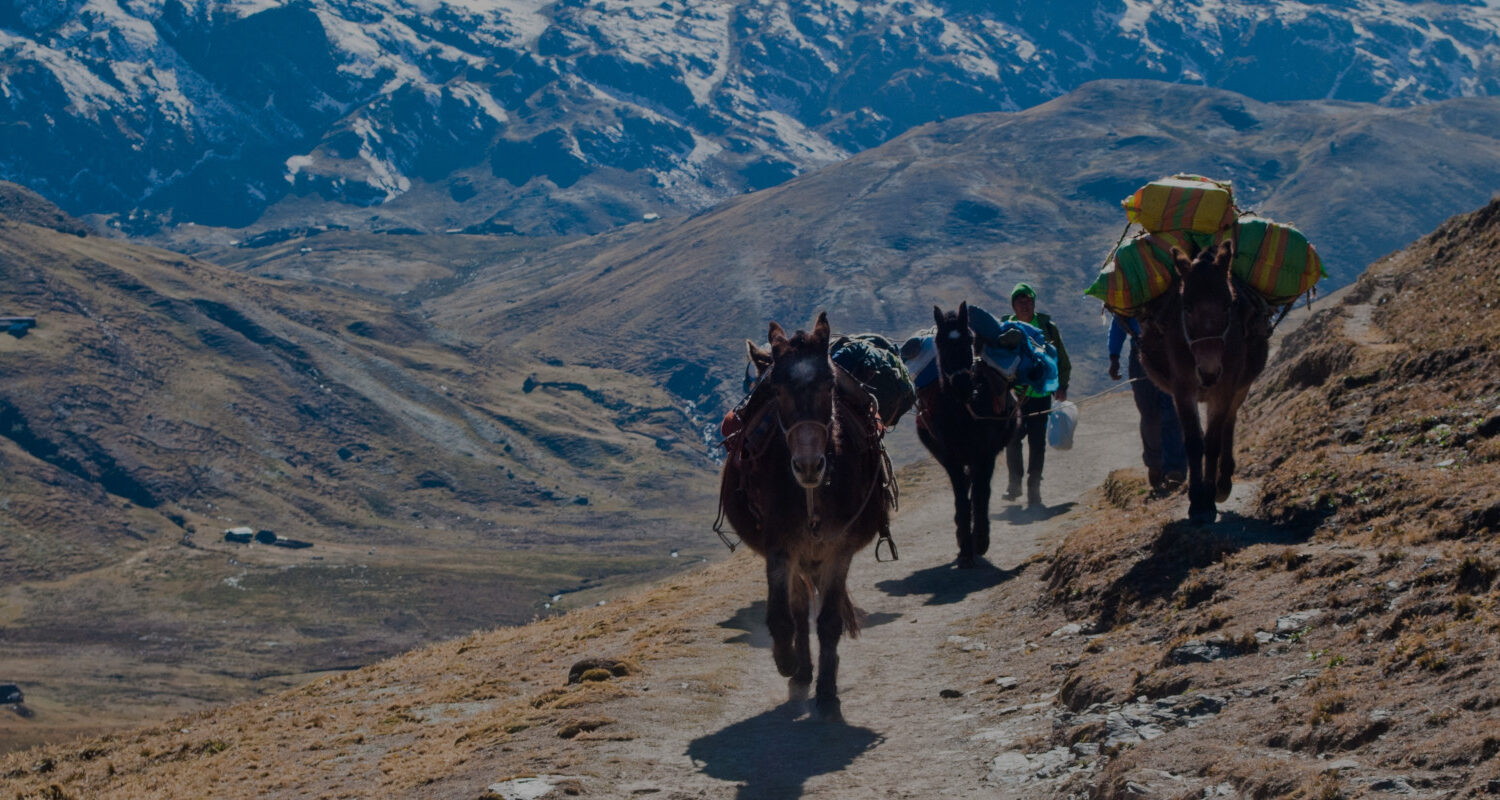 Lares Trek to Machu Picchu