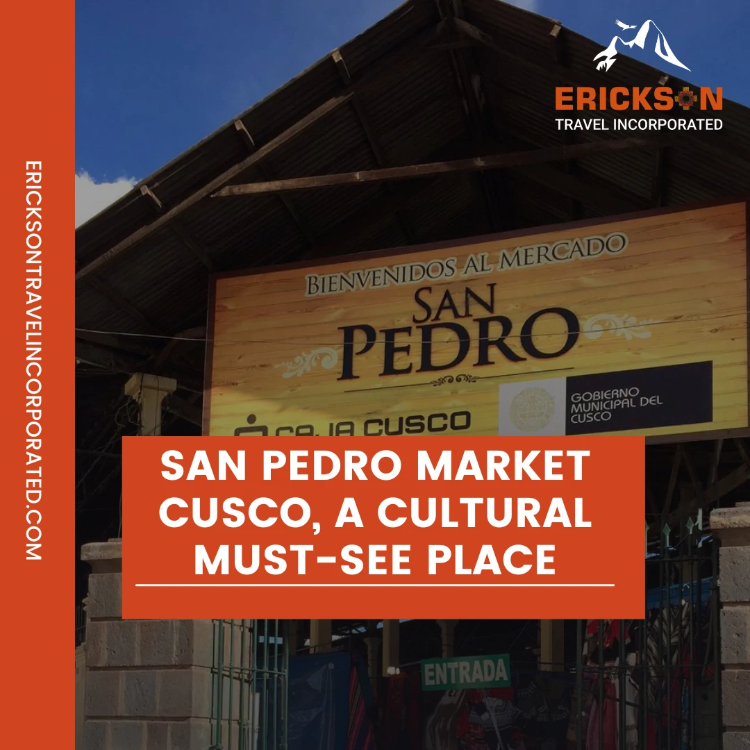 San Pedro Market Cusco, A Cultural Must-See Place